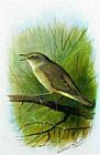 Archibald Thorburn Famous Paintings - Reed Warbler